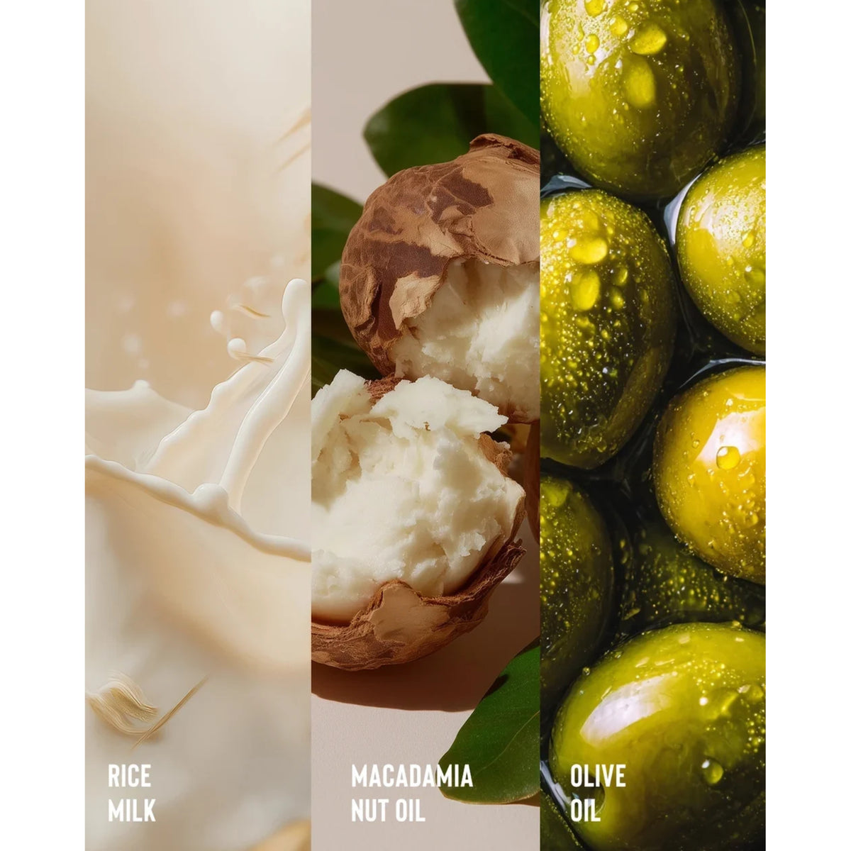 Tre naturlige ingredienser i kollage: rismælk, macadamianøddeolie og olivenolie i grønne oliven.